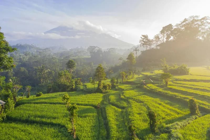 Indonesia 